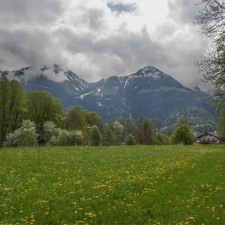 Daire Alpenhof Punzenlehen *