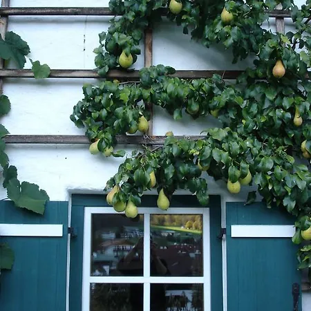 Daire Alpenhof Punzenlehen *